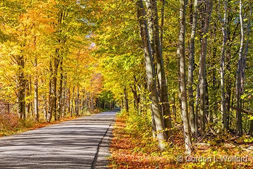 Cove Road In Autumn_29550.jpg - Photographed near Portland, Ontario, Canada.